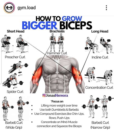 best bicep reps